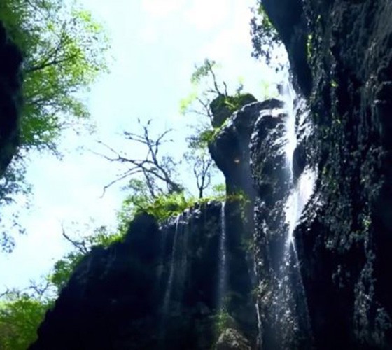 青山綠水，白龍江畔江畔息白鷺，兩岸綠橄欖入眼的都是純樸自然枝上花開(kāi)，春來(lái)水暖魚(yú)蝦戲水，鳥(niǎo)語(yǔ)花香心中充滿(mǎn)著舒暢之感祥宇生態(tài)產(chǎn)業(yè)園，位于隴南市武..